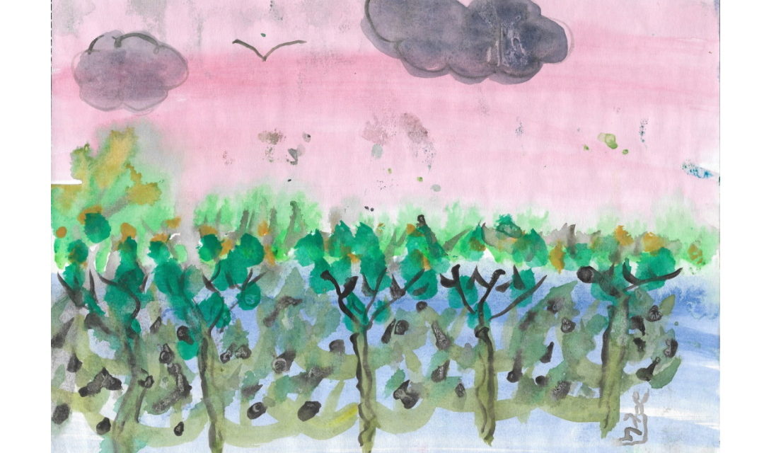 The Forest of Sensation